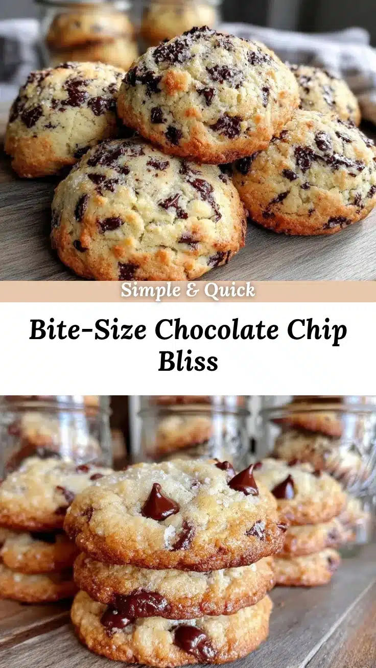 mini chocolate chip cookies recipe