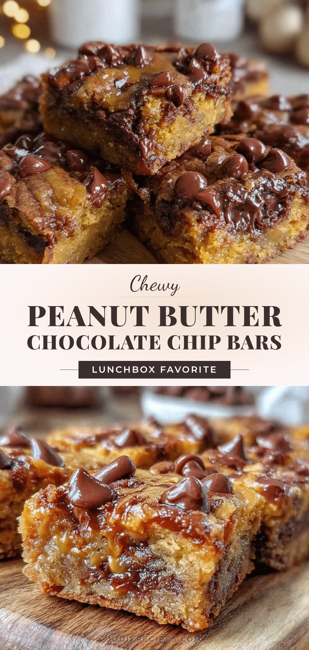 chewy peanut butter chocolate chip cookie bars recipe