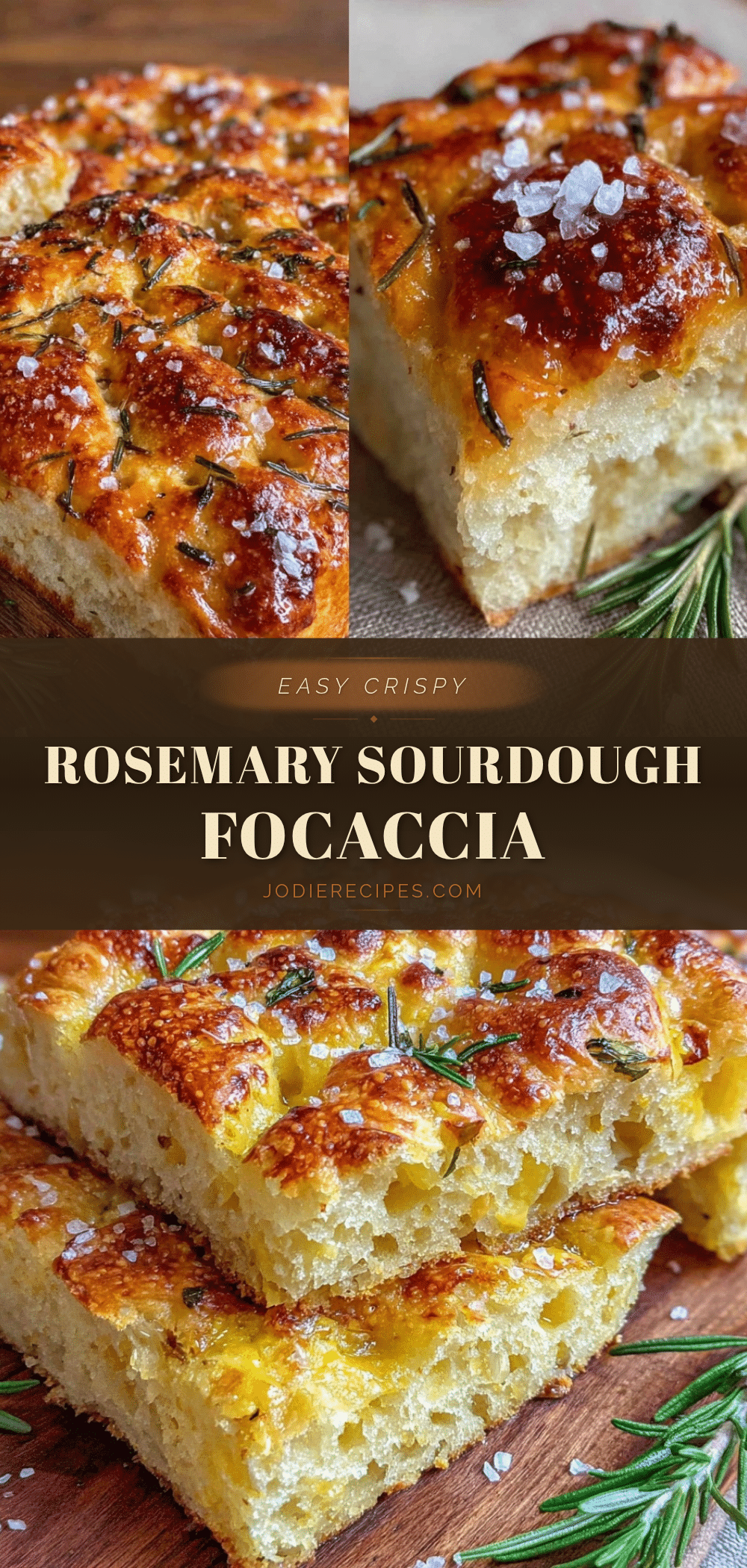 sourdough focaccia recipe recipe